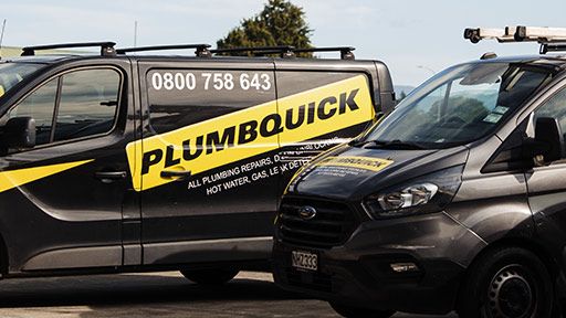 Professional Seatoun Heights Plumbers